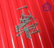 SDS-Screw