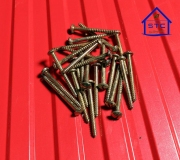 Self-Drilling-Screw